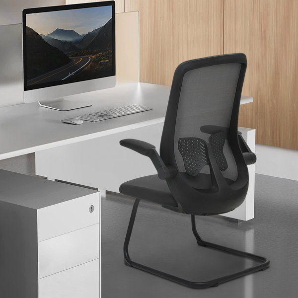 Inbox Zero Lanarose Ergonomic Task Chair, Mesh Office Seat with Lumbar
